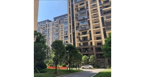 電梯工程：現代建筑中的垂直交通藝術